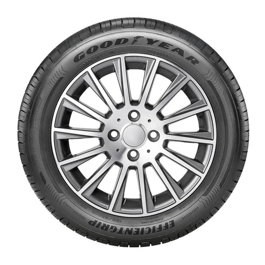 Neumático Goodyear EFFICIENTGRIP PERFORMANCE 195/60R15 88V