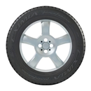 Neumático Neumático Fate EXIMIA PININFARINA SUV 225/60 R17 99H — foto 1