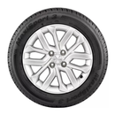 Neumático Neumático Fate MAXISPORT 2 205/55 R16 91H — foto 3