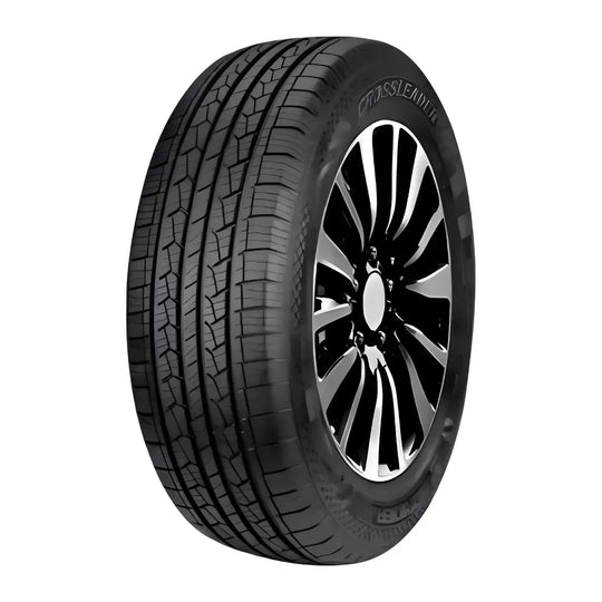 DoubleStar DS01 225/65 R17 102T