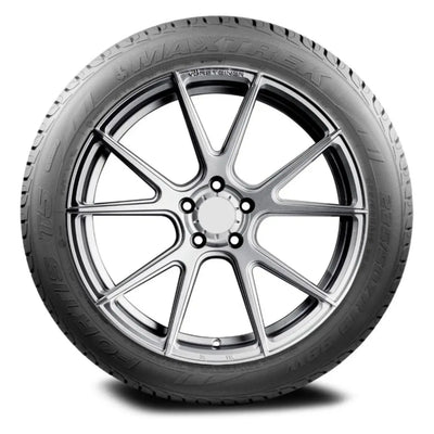 Neumático Maxtrek FORTIS T5 255/45R19