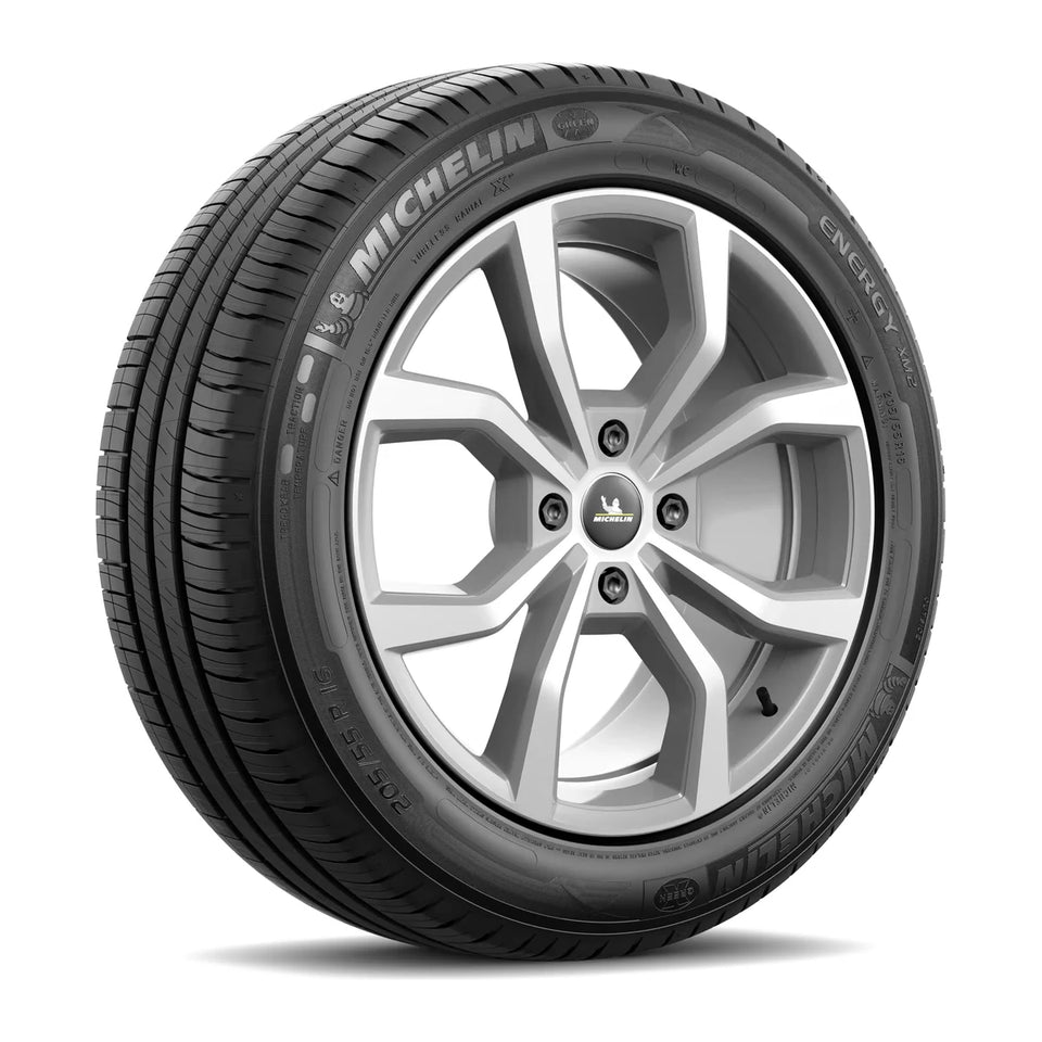 Michelin Energy XM2+ 205/65 R16 95H